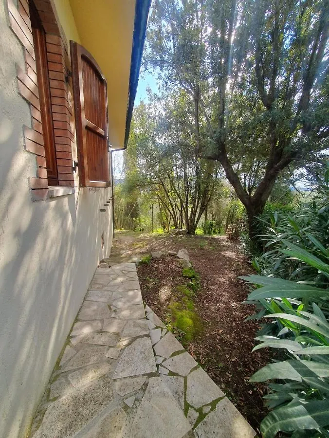 8380 Saturnia Terme Dependance Villa 0*,